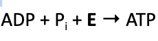 <p><span style="background-color: transparent;"><span>De mitochondriën kunnen uit het energiearme ADP opnieuw ATP maken, maar hiervoor hebben ze energie nodig.&nbsp;</span></span><br></p><p></p>