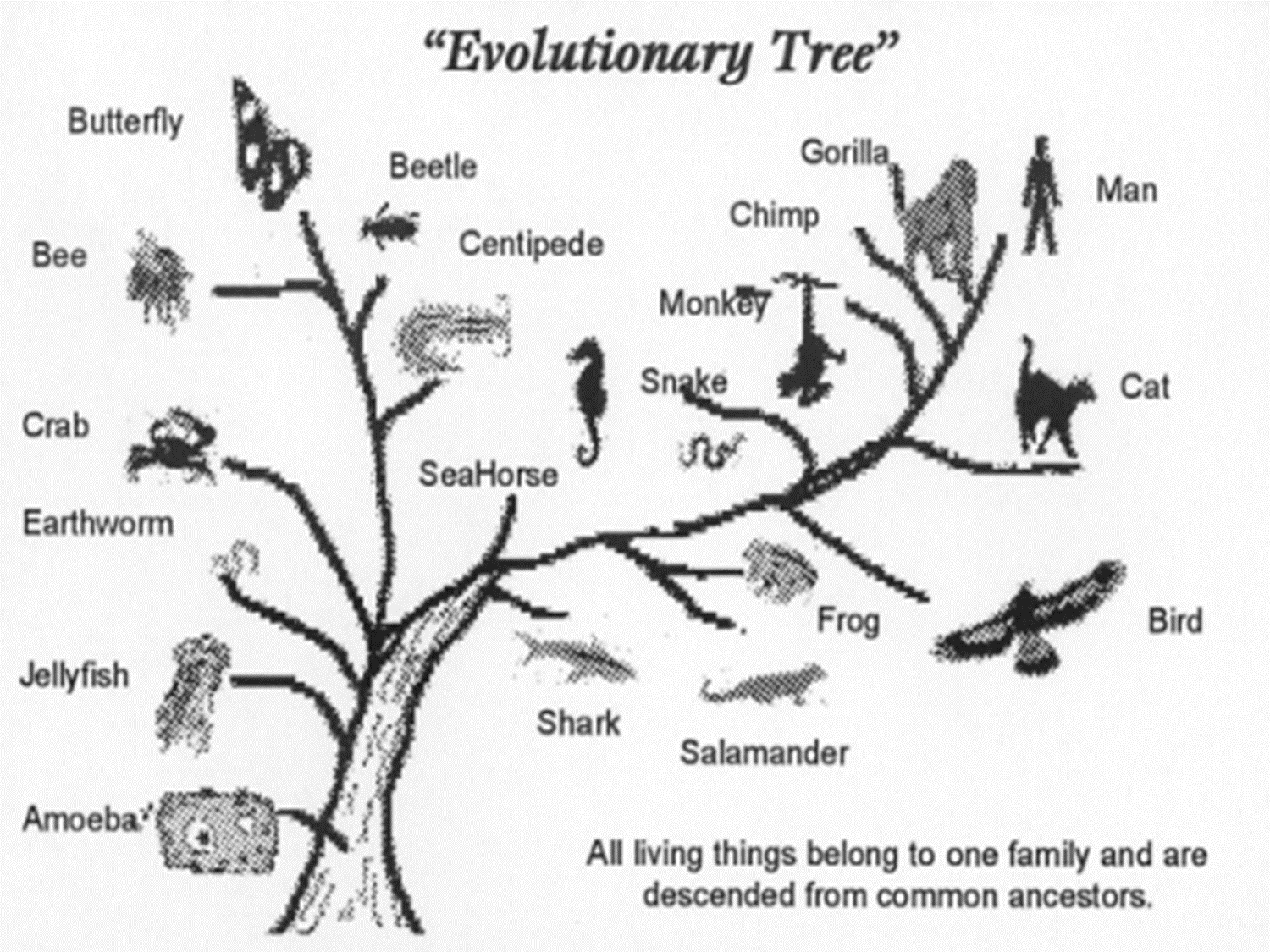 <p>“all living things belong to one family and are descended from common ancestors" </p>