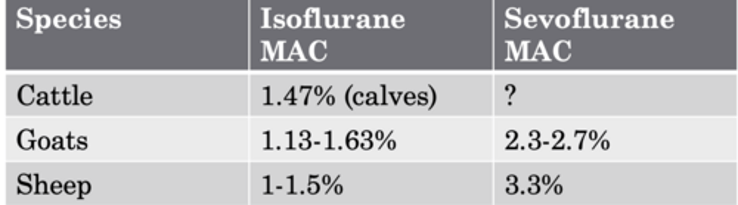 <p>most common inhalant anesthetic for ruminants</p>