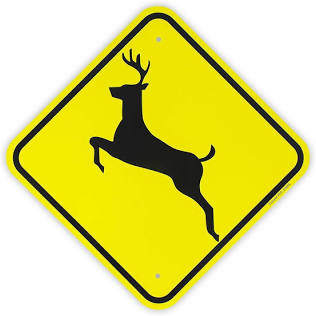 <p>What sign is this?</p>