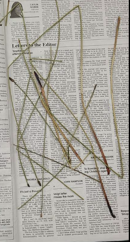 <p>plant?</p>