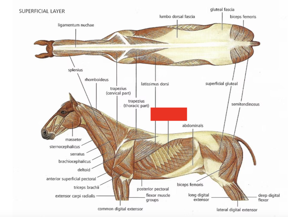 <p>What is this?</p>