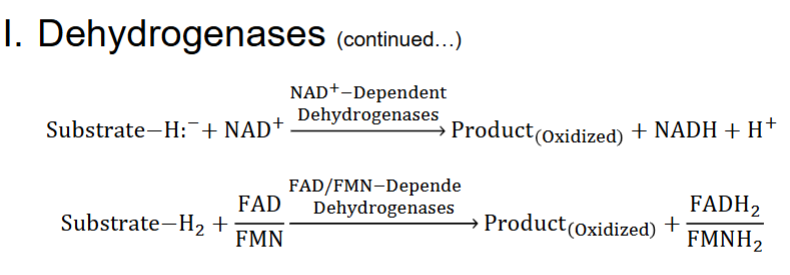 <ul><li><p>1) usually stripping off 2H from target substrate</p></li><li><p>very similar but both H end up in </p></li></ul><p></p>