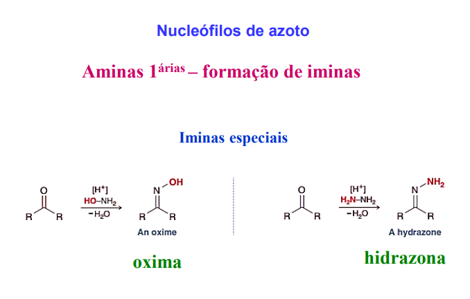 <p>formação de iminas especiais</p>