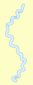 <p>Morphology name</p>