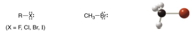 <p>SP<sup>3 </sup>Carbon</p>