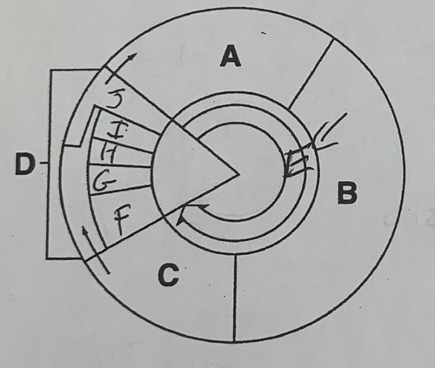 <p>F. <span style="text-decoration:underline"><span class="bgY">Prophase:</span></span> the chromosomes and the nucleus membrane starts to dissolve/disappear</p><p>G. <span style="text-decoration:underline"><span class="bgY">Metaphase:</span></span> the chromosomes line up along the center of the cell and the spindles attach to the centromere</p><p>H. <span style="text-decoration:underline"><span class="bgY">Anaphase:</span></span> chromosomes split and the spindles drag the half of the sister chromatids onto opposite sides of the cell</p><p>I. <span style="text-decoration:underline"><span class="bgY">Telophase:</span></span> the nucleus is completely split and the nuclear membrane starts to reform</p><p>J. <span style="text-decoration:underline"><span class="bgY">Cytokinesis:</span></span> the cytoplasm separates to form the other 2 daughter cells</p>