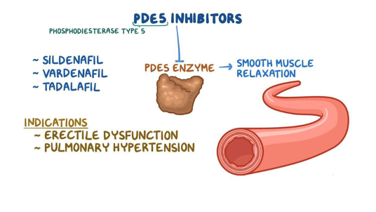 <p>these are PDE5 inhibitors that lead to smooth muscle relaxation and increased blood flow; helps to maintain erections in context of sexual stimulation </p>