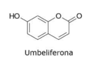 <p>Possui: umbeliferona</p><p>Funções: bacteriostático, favorecendo a eliminação renal e a função digestiva</p><p>Usado em: tratamento de problemas menores do trato urinário.</p><p>Contraindicado: Grávidas, crianças, lactantes</p>