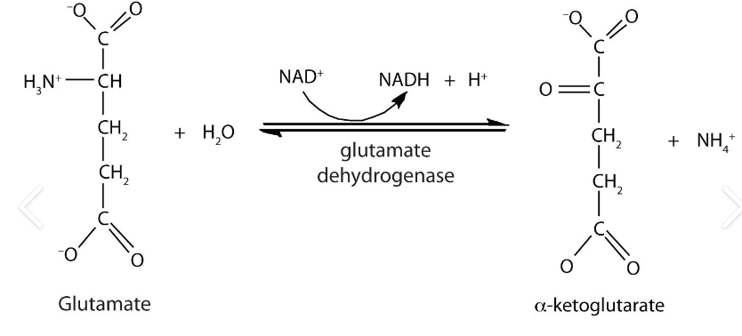 <p>What type of reaction is this:</p>