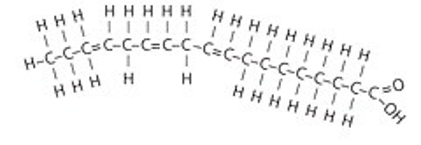 <p>a fatty acid containing two or more carbon-carbon double bonds</p>