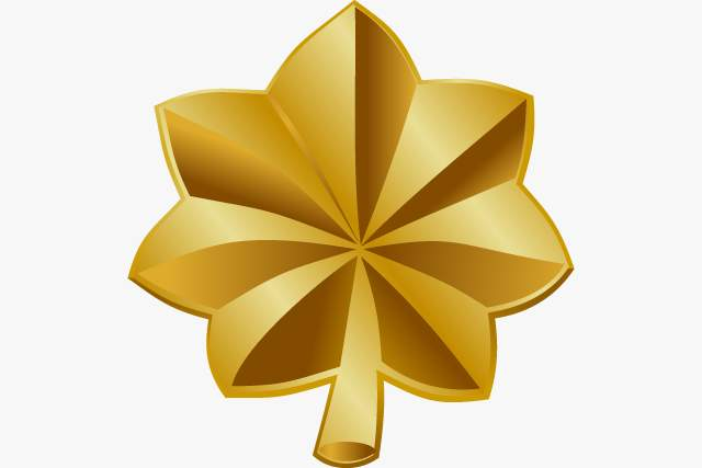 <p>Rank?</p>