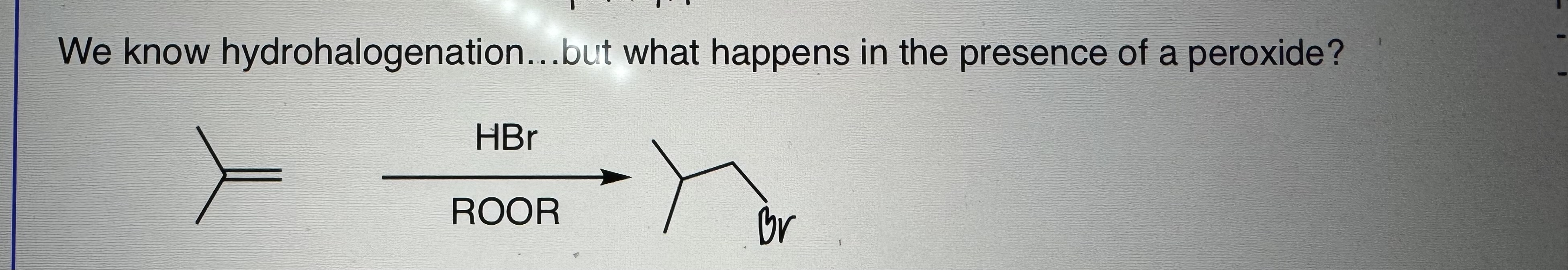 <p>Free Radical Addition of HBr</p>