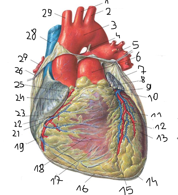 <p>4</p>