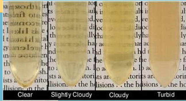<ul><li><p>clear</p></li><li><p>Hazy</p></li><li><p>Slightly cloudy</p></li><li><p>turbid</p></li><li><p>milky</p></li></ul><p></p><p></p>