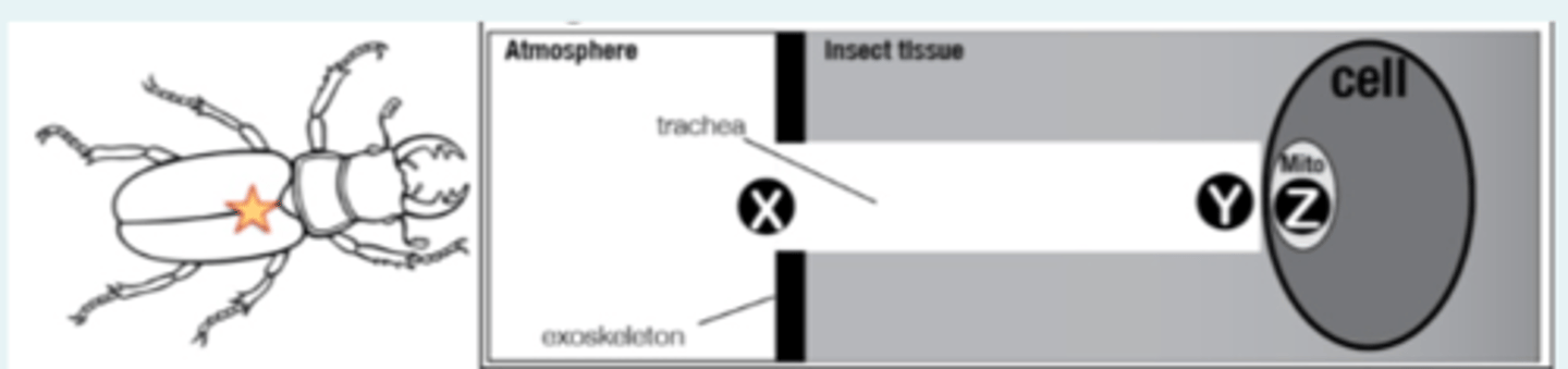 <p>D differs for the two distances</p>