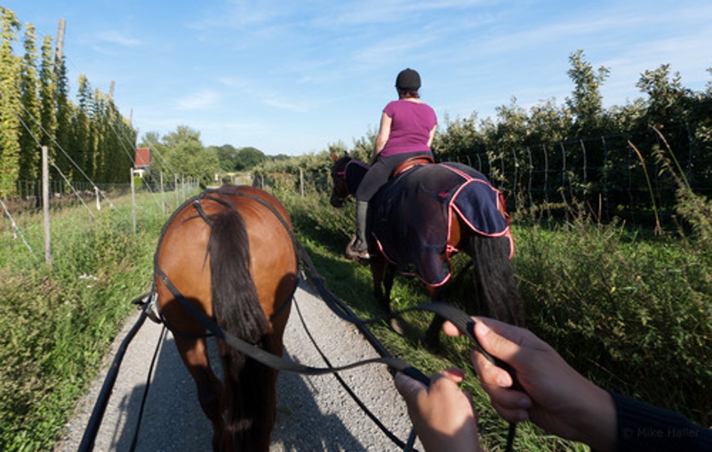 <p>điều khiển, định hướng</p>