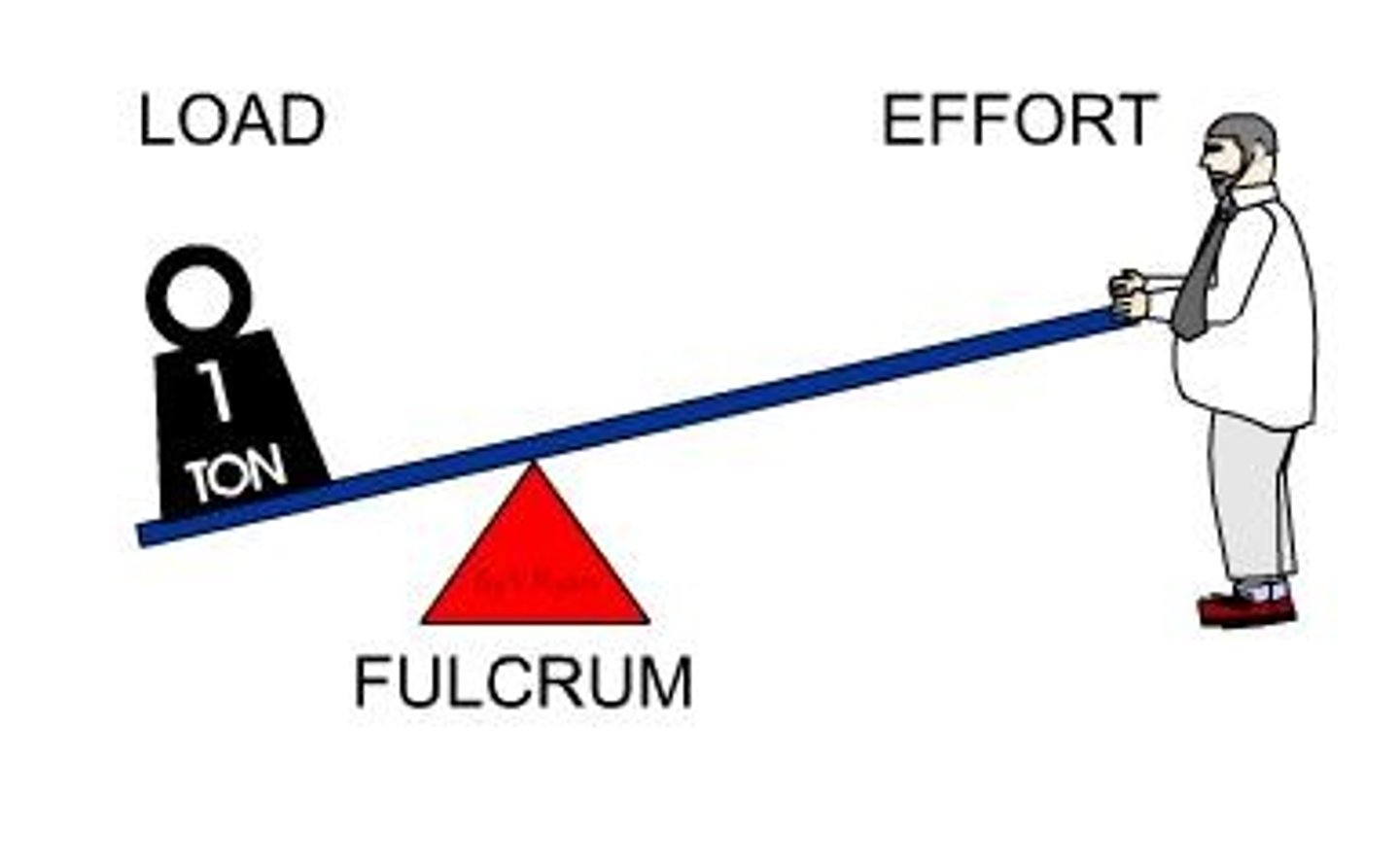 <p>Force supplied by muscle contraction</p>