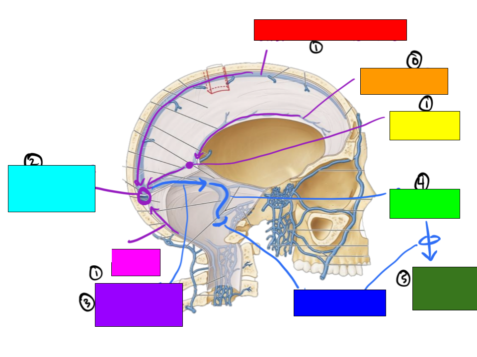 <p>What is this image showing?</p>