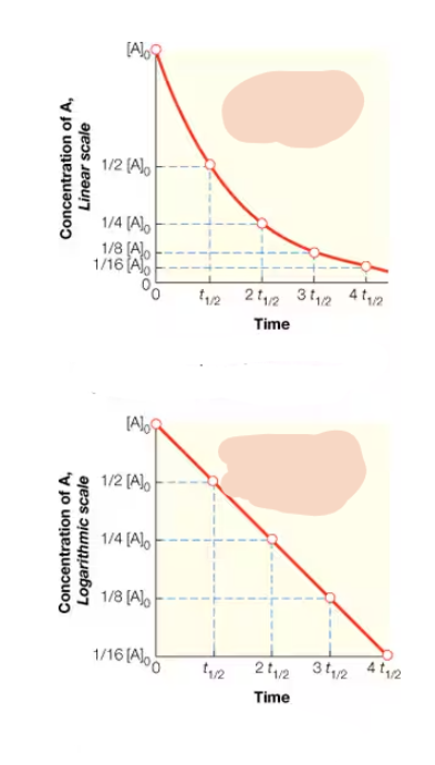 <p>what order rxn is this? How can the K-value of this rxn. Be deduced?</p>