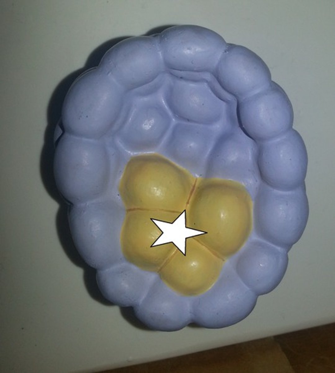 <p>will become the embryo</p>