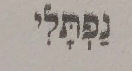 term image