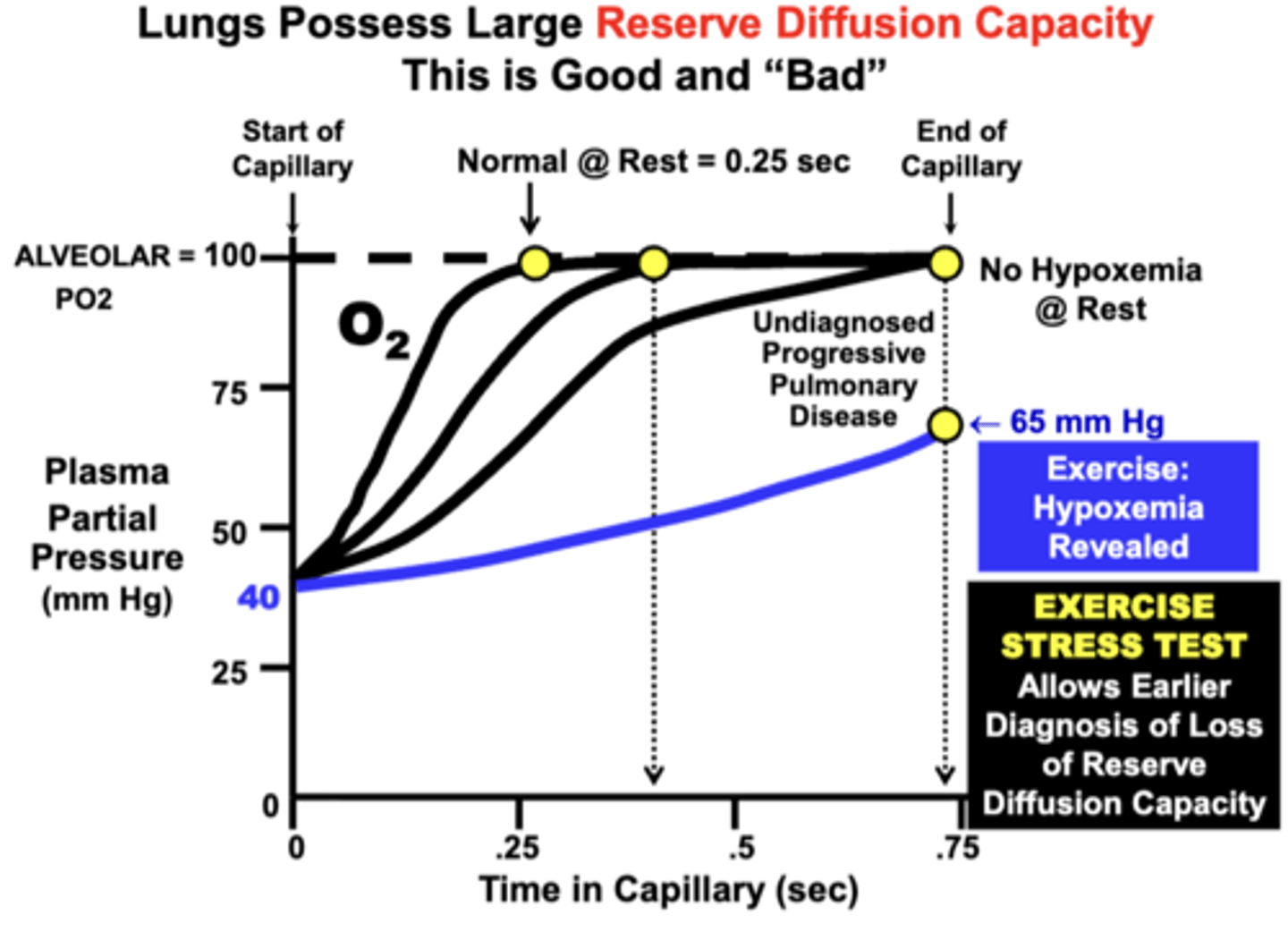 <p>Large Reserve Diffusion Capacity:</p><p>- because the blood normally equilibrates quite rapidly (0.25 sec) at rest relative to the average amount of time allowed for equilibration (0.75 sec)</p><p>insures that blood becomes fully equilibrated with the alveolar compartment even during conditions that:</p><p>1) decrease equilibration time (e.g. exercise) </p><p>2) impair the diffusion properties of the lungs (e.g. reduced surface area, increased membrane thickness)</p>
