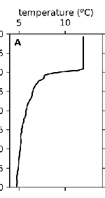 <p>take the table in consideration, explain what you see</p>