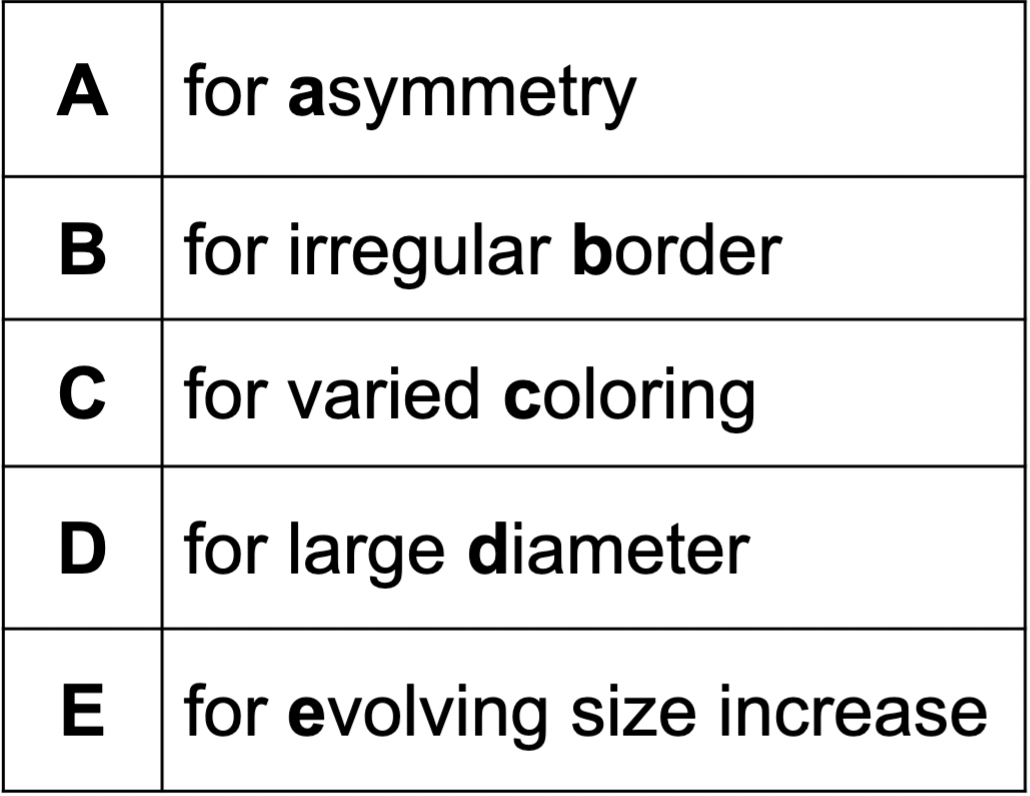 <p>A- ASYMMETRY</p><p>B- irregular BORDER</p><p>C-varied COLORING</p><p>D- large DIAMETER</p><p>E-EVOLVING size increase</p>