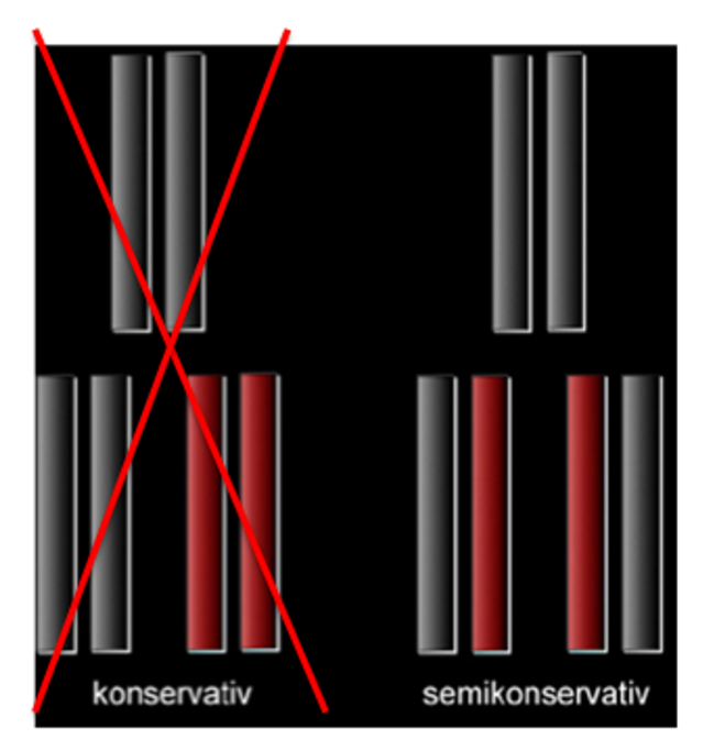 <p>Erkläre</p>