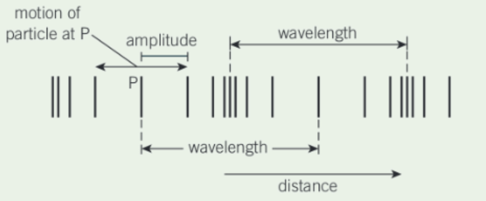 <ul><li><p>Oscillations are parallel to the direction of energy transfer</p></li></ul><p></p><ul><li><p>Compressions and rarefractions</p></li></ul><p></p><ul><li><p>Sound waves, P-waves</p></li></ul><p></p><ul><li><p>Restoring force are the collisions between particles as they bounce off each other during compressions</p></li></ul><p></p>