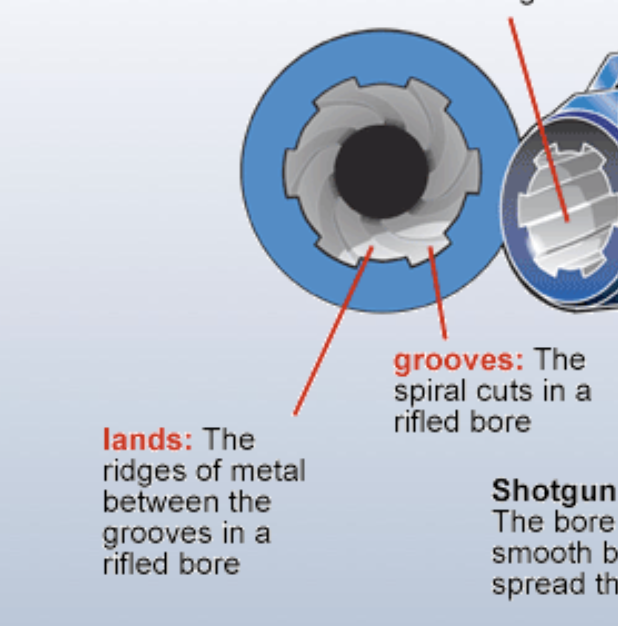 <ul><li><p>Groove: Cut part of rifled barrel</p></li><li><p>Land: Space between cut grooves</p></li></ul><p></p>