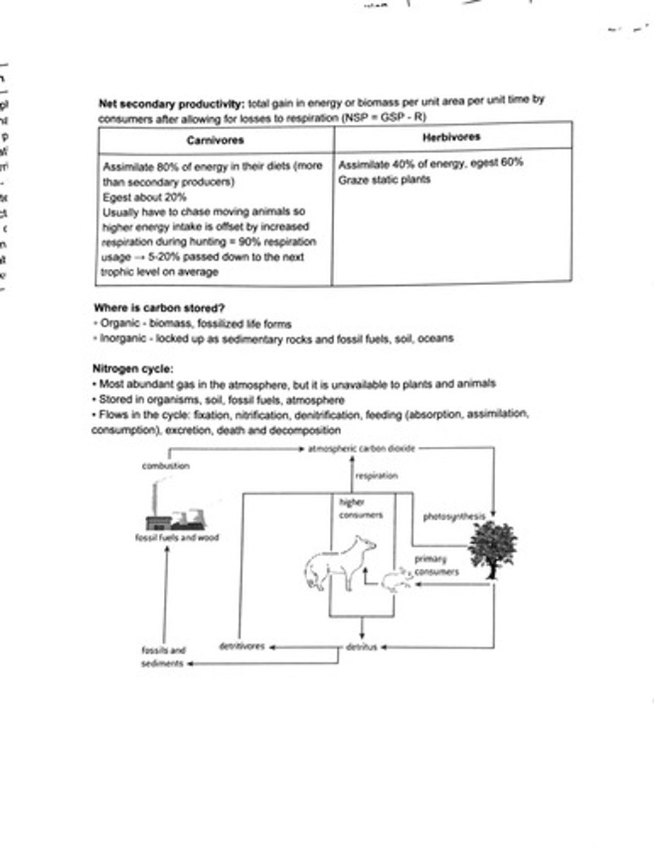 <p>Flows in the cycle: fixation, nitrification, denitrification, feeding, excretion, death and decomposition.</p>