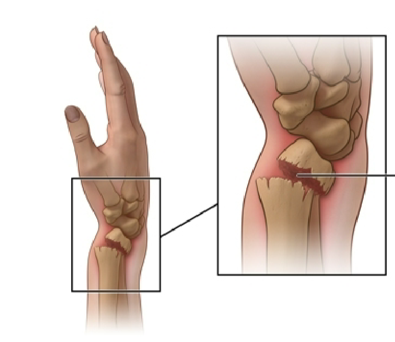 <p>What is this?</p>