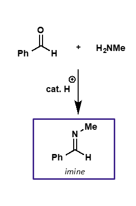 <p>intermediate is iminium ion </p><p>product is imine </p>