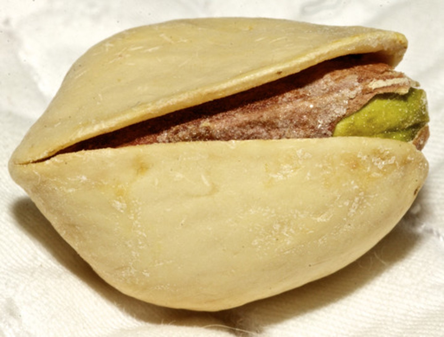 <p>скорлупа</p>