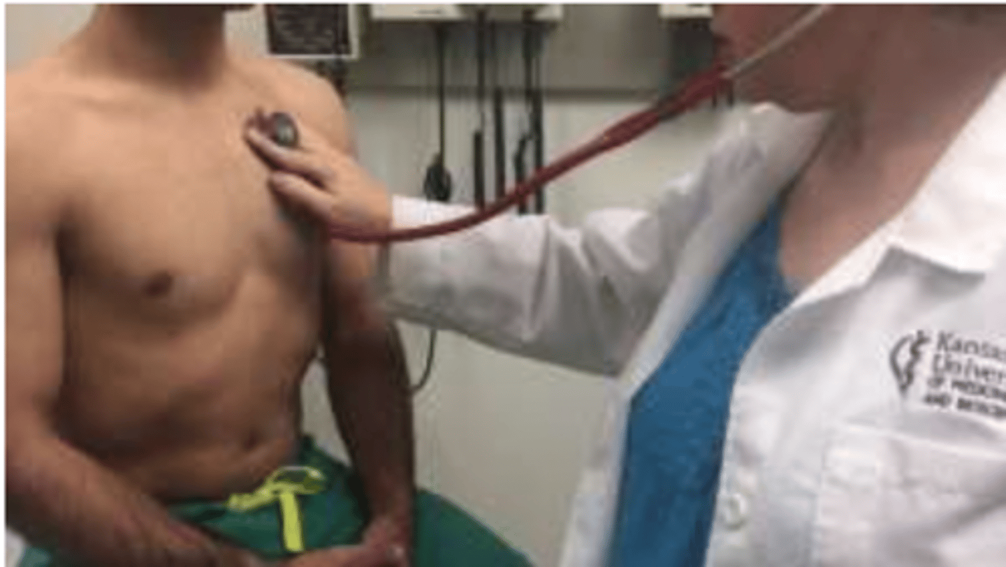 <p>Identify S1 and S2 heart sounds.</p>