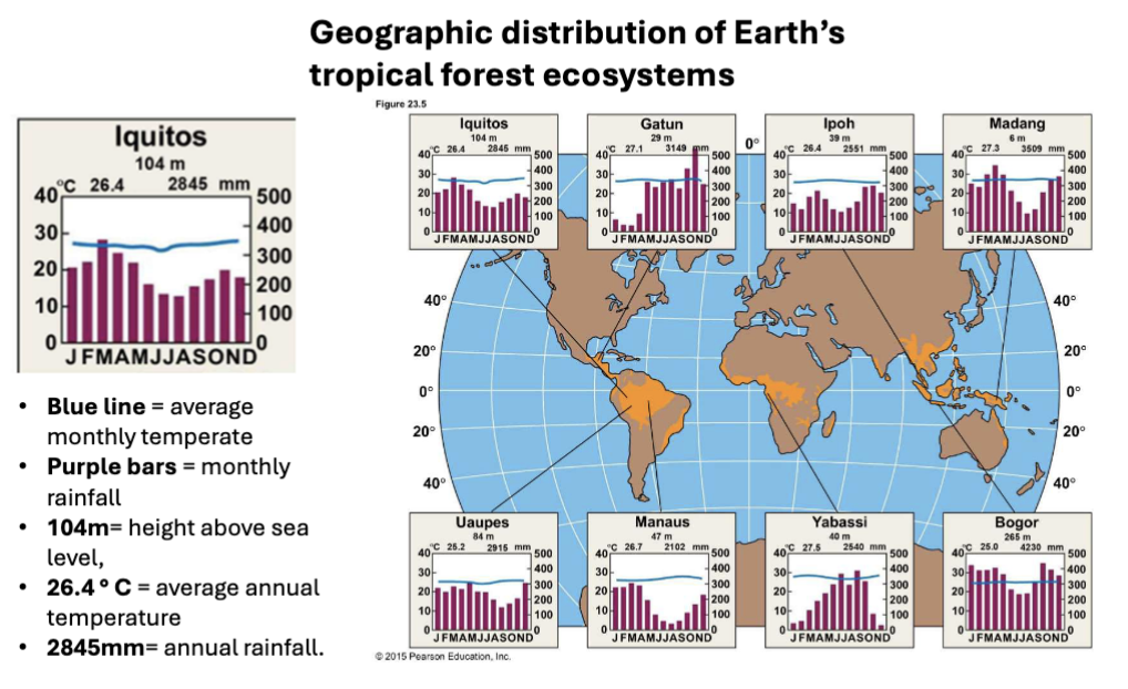 <p>warm and very wet year-round</p>