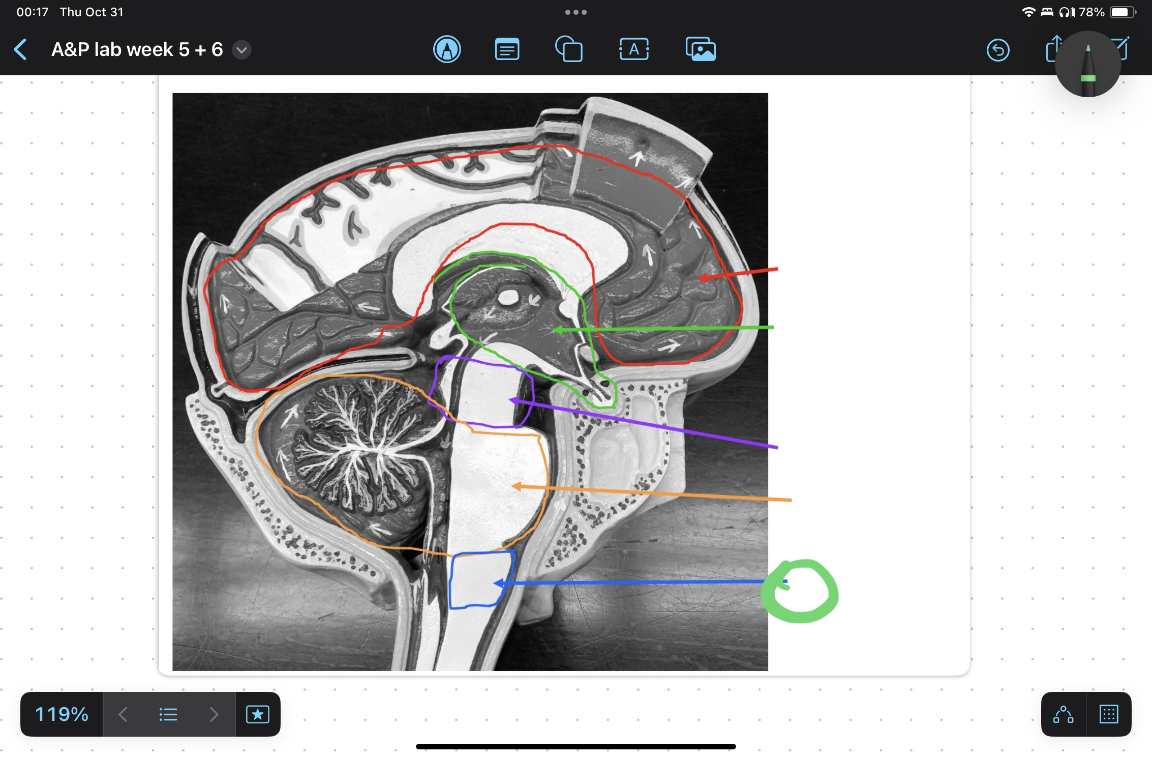 knowt flashcard image