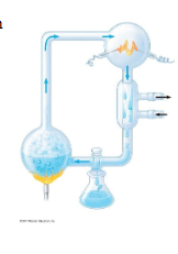 <p>what would happen if o2 was introduced</p>