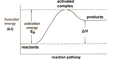 <p>In an endothermic reaction change in H is always</p>