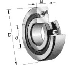 term image