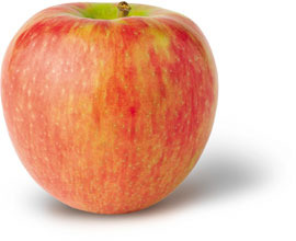 medium-large with white-cream coloring. Stripes are present. Medium light colored dots. Not waxy or greasy. Red to pink blush, skin color: yellow or green with some red or pink.