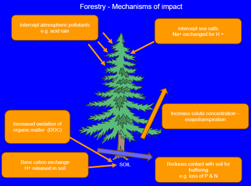 <p>Literature indicates felling increases sediment and nutrient losses in streams draining the catchment</p>