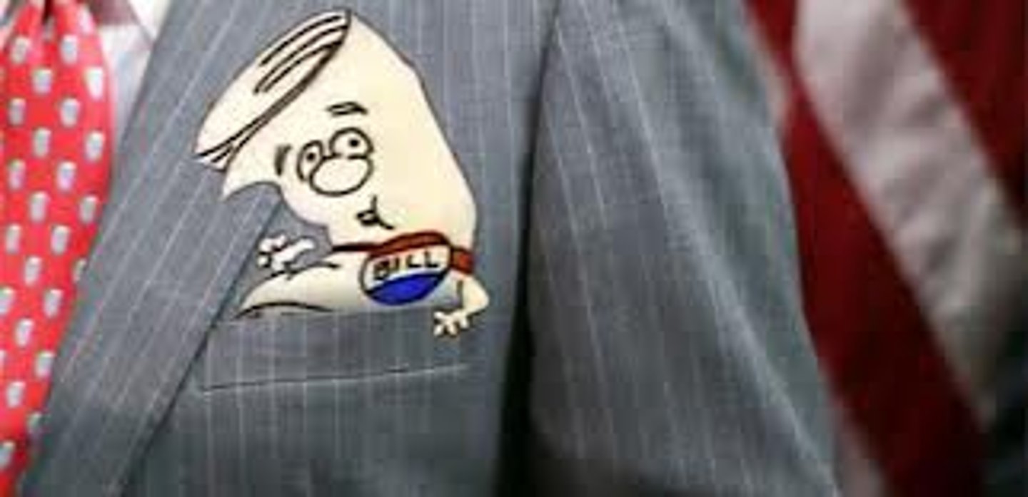 <p>A type of veto occurring when Congress adjourns within 10 days of submitting a bill to the president and the president simply lets the bill die by neither signing not vetoing it</p>