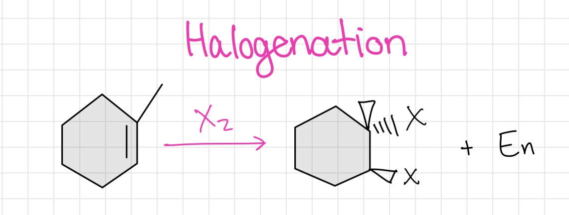 <ul><li><p>X and X</p></li></ul>