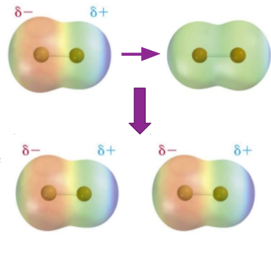 Diagram of the occurrence of induced dipoles