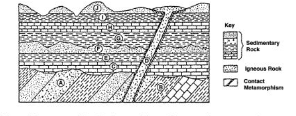<p>Which rock layer provides the best evidence for crustal movement?</p>