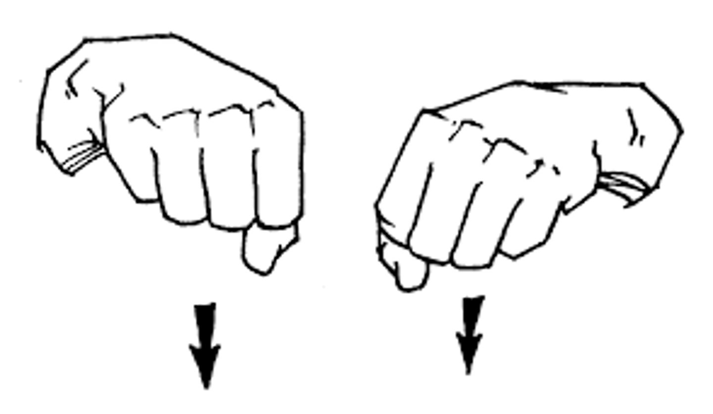 <p>A handshapes at rib height - thumbs facing one another and making a downward 'knock' motion.</p>
