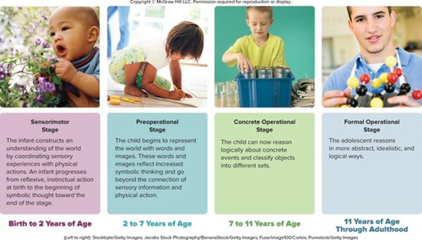 <p>Ages 7-11; logical reasoning about concrete events.</p>